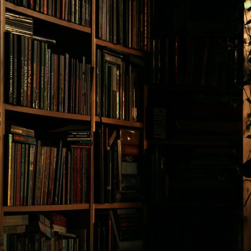 A bookcase in early light By Pierre Bamin on Unsplash