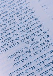 Hebrew Bible pale blue