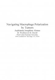 Navigating Macrophage Polarization