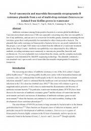 Novel vancomycin and macrolide-lincosamide-streptogramin B resistance plasmids from a set of multi-drug-resistant Enterococcus isolated from biofilm grown in wastewater