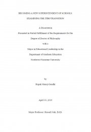 Becoming a new superintendent of schools: examining the tyro transition