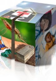 Malaria Cube Presentation Guide