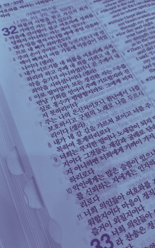 Korean Bible Blue